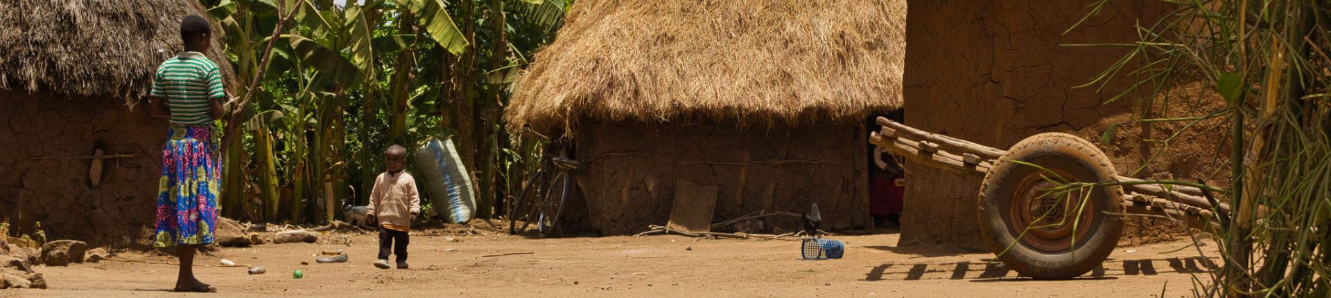 Nos immersions locales en Tanzanie