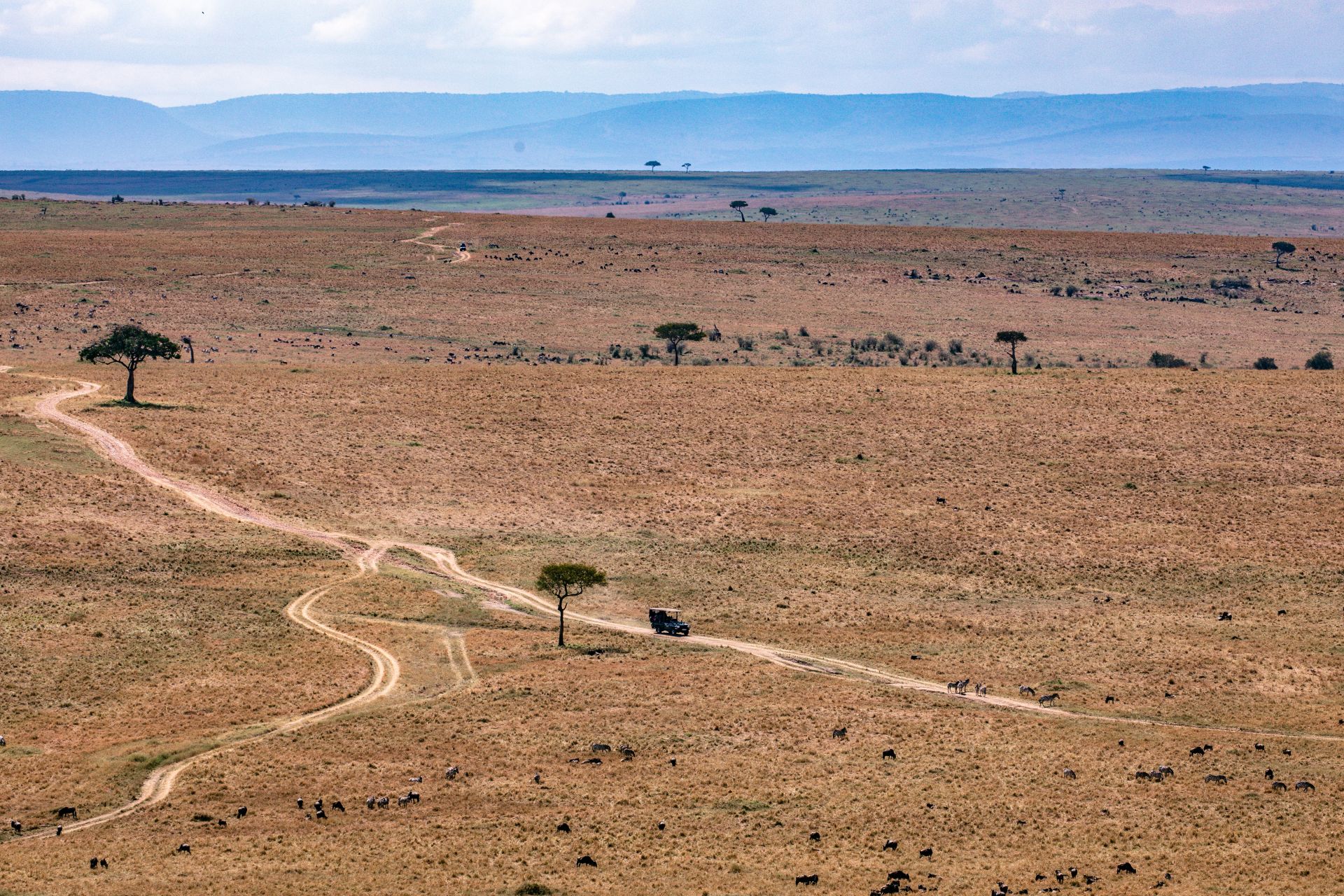 Notre agence au Kenya