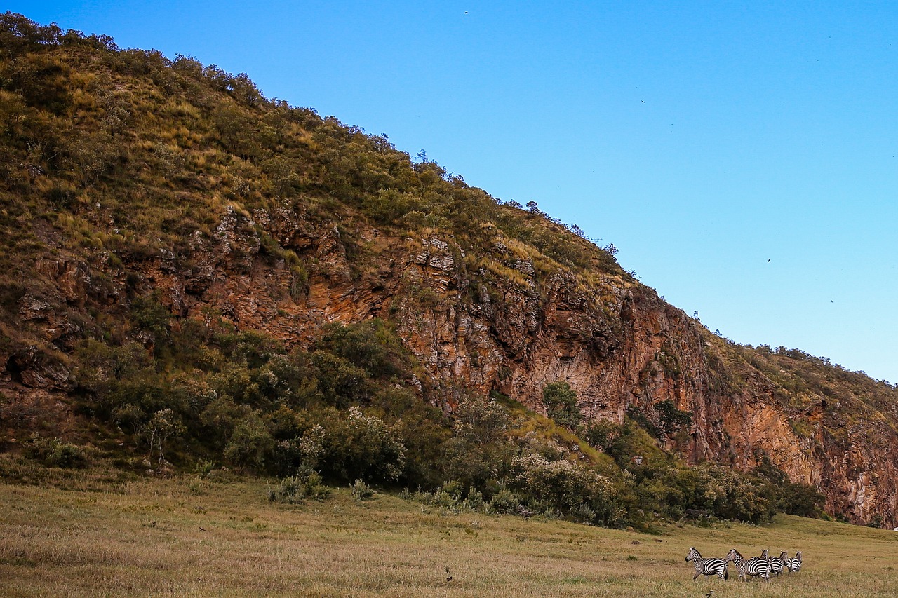 hells-gate-national-park-7271162_1280.jpg