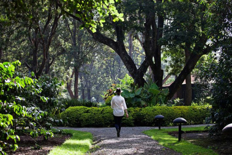 Arusha Coffee Lodge