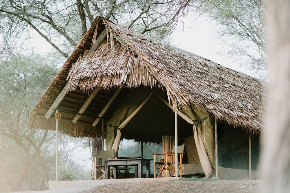 lodge-tanzanie-tarangire.jpeg