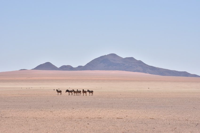 namibia-4111860_1280-850x567.jpg