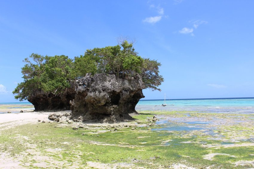 pemba-island-3907484_1280-850x566.jpg