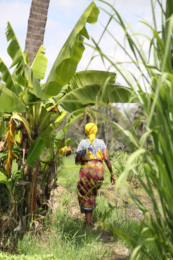 tanzanie-91-567x850.jpg