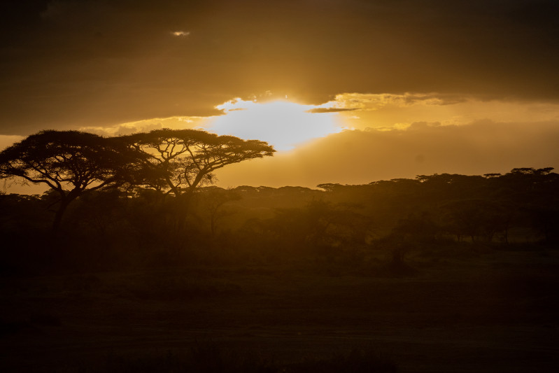 Avis de Maeva  - Voyage en Tanzanie