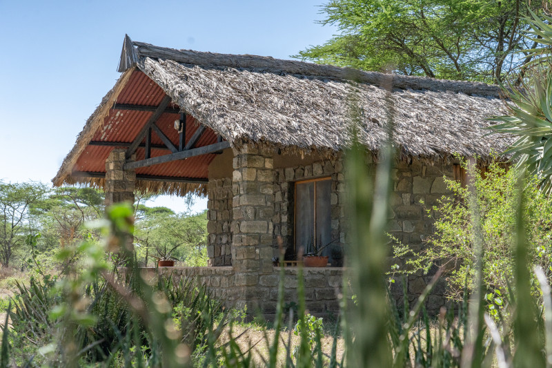 Avis de Famille Litvak - Voyage en Tanzanie