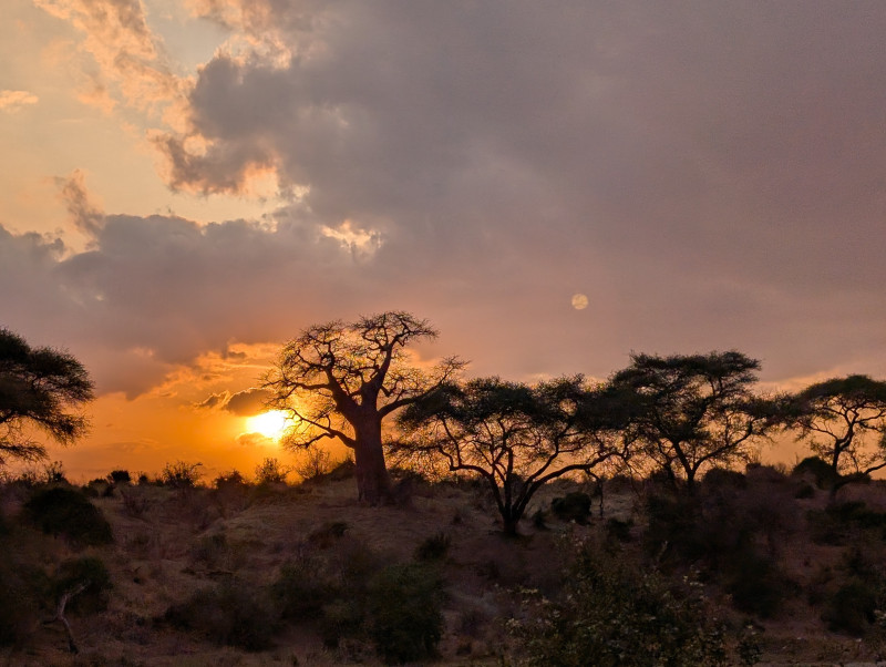Avis de Julie Boiron - Voyage en Tanzanie