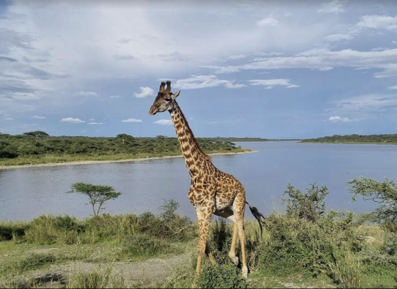 Avis de Audre Burret - Voyage en Tanzanie