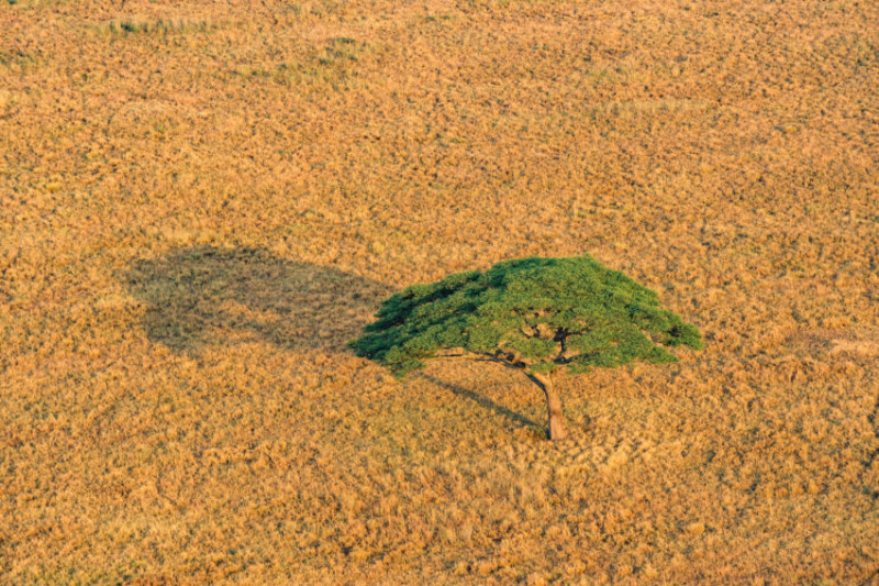 Avis de Sandrine - Voyage en Tanzanie