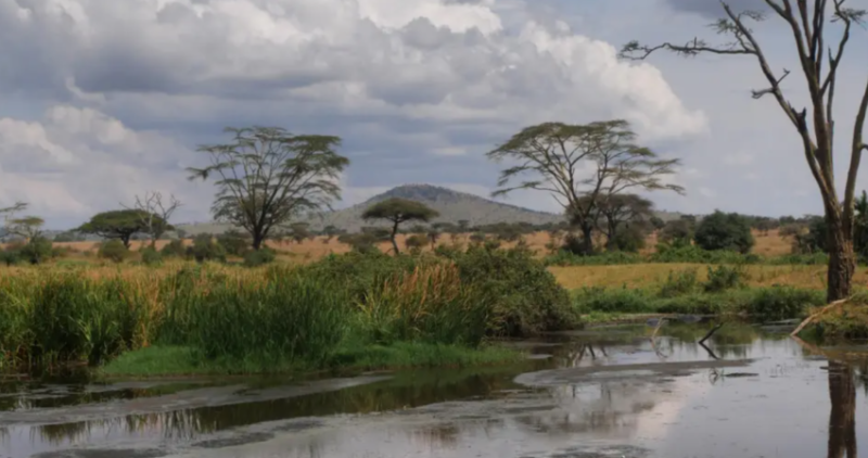 Avis de Jessica - Voyage en Tanzanie