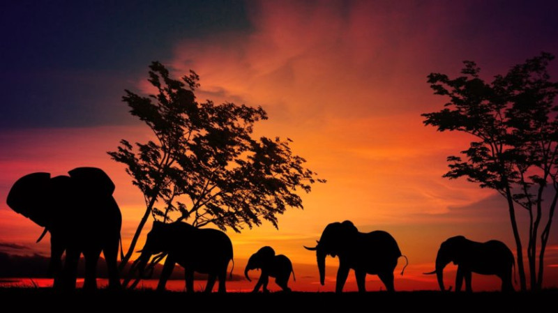 Avis de Justine et Romain - Voyage en Tanzanie