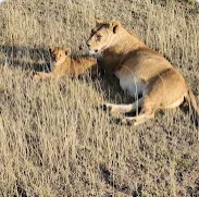 Avis de Florian - Voyage en Tanzanie