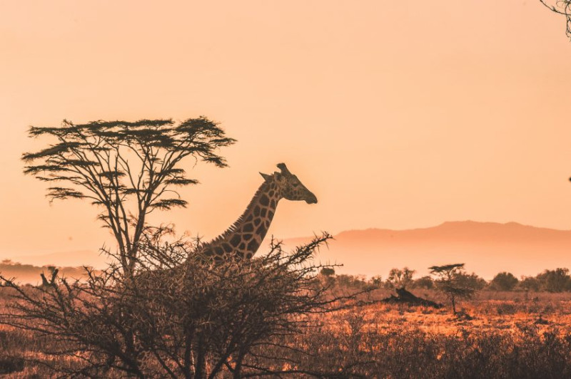 Avis de Carine - Voyage en Tanzanie