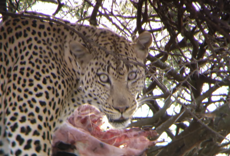 Avis de Jean Luc Larguier - Voyage en Tanzanie