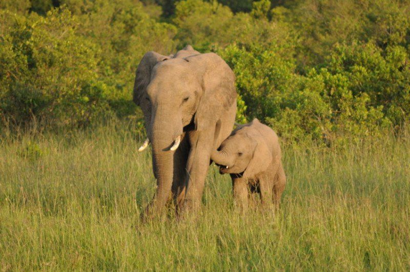 Avis de Anne - Voyage en Tanzanie