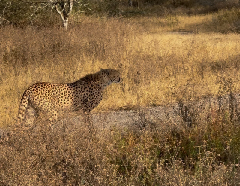 Avis de Sandrine - Voyage en Tanzanie