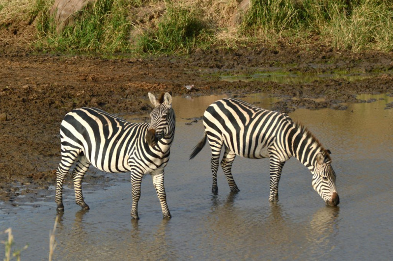 Avis de Chloé - Voyage en Tanzanie