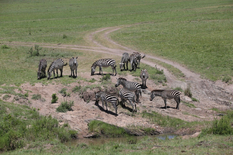 Avis de Julie - Voyage en Kenya