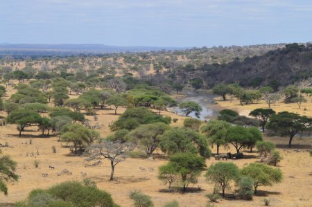 La Tanzanie version Mes Ptits Bouts du Monde