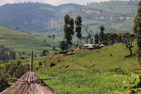 Safari et randonnée en immersion en Ouganda : les merveilles du Nord version aventure 