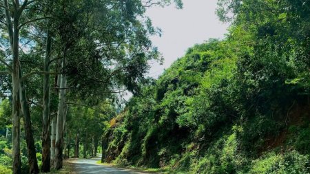 Road trip et randonnées en Tanzanie du Kilimanjaro vers l’Océan Indien