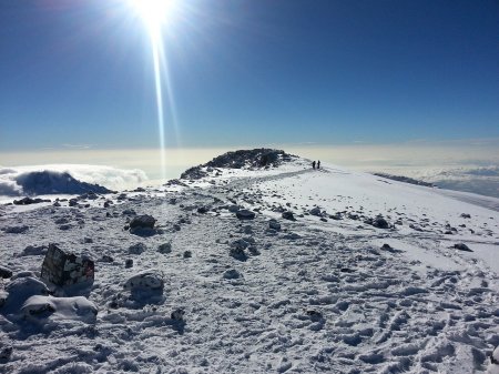 Ascension du Kilimanjaro par la voie Lemosho en 7 jours